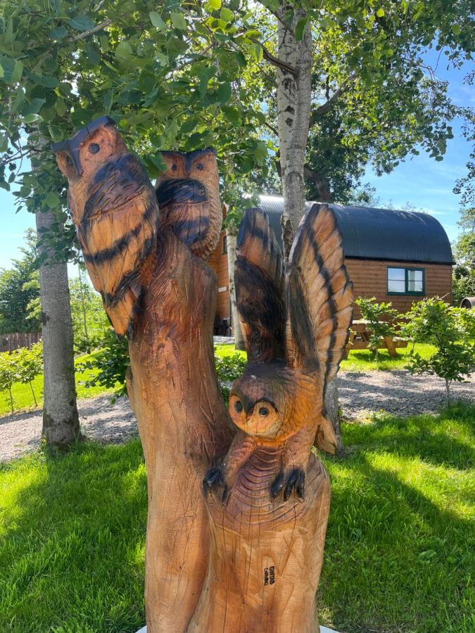 Oakwell Holiday Village Ramelton Zewnętrze zdjęcie